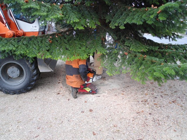Christbaum 2011